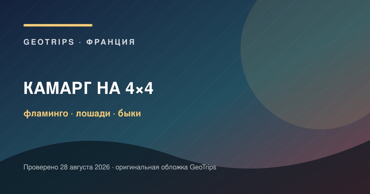 Сафари по Камаргу на 4×4: фламинго, пыль и фотографии