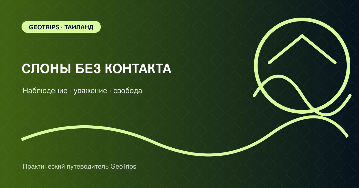 Оригинальная обложка GeoTrips: слон свободно идёт по зелёной поляне